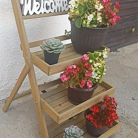 Valley Vendeghaz 招待所 埃格尔