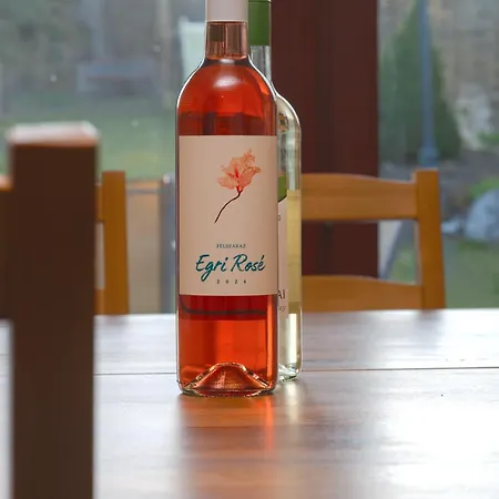 Valley Vendeghaz 3* Eger